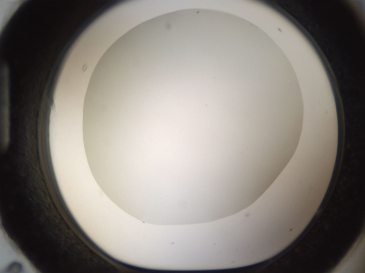 folderID212_plateID1212_batchID3623_wellNum95_profileID1_d1_r68572_ef.jpg