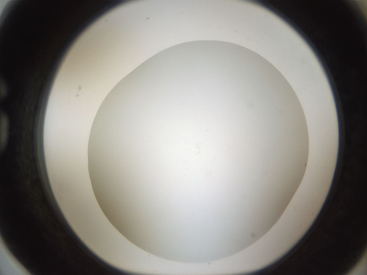 folderID212_plateID1212_batchID3657_wellNum78_profileID1_d1_r68538_ef.jpg