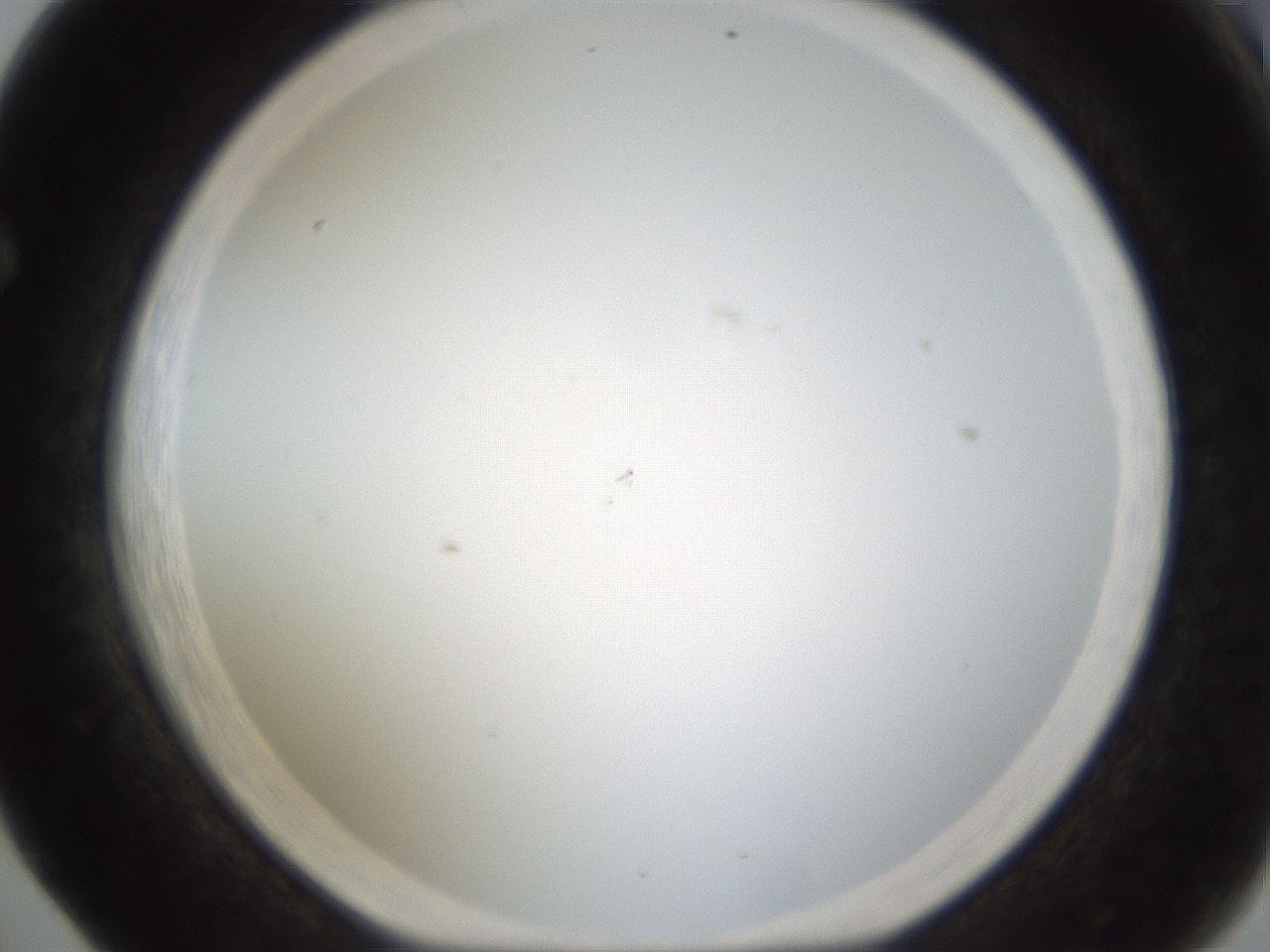 folderID212_plateID1212_batchID3657_wellNum65_profileID1_d1_r68512_ef.jpg