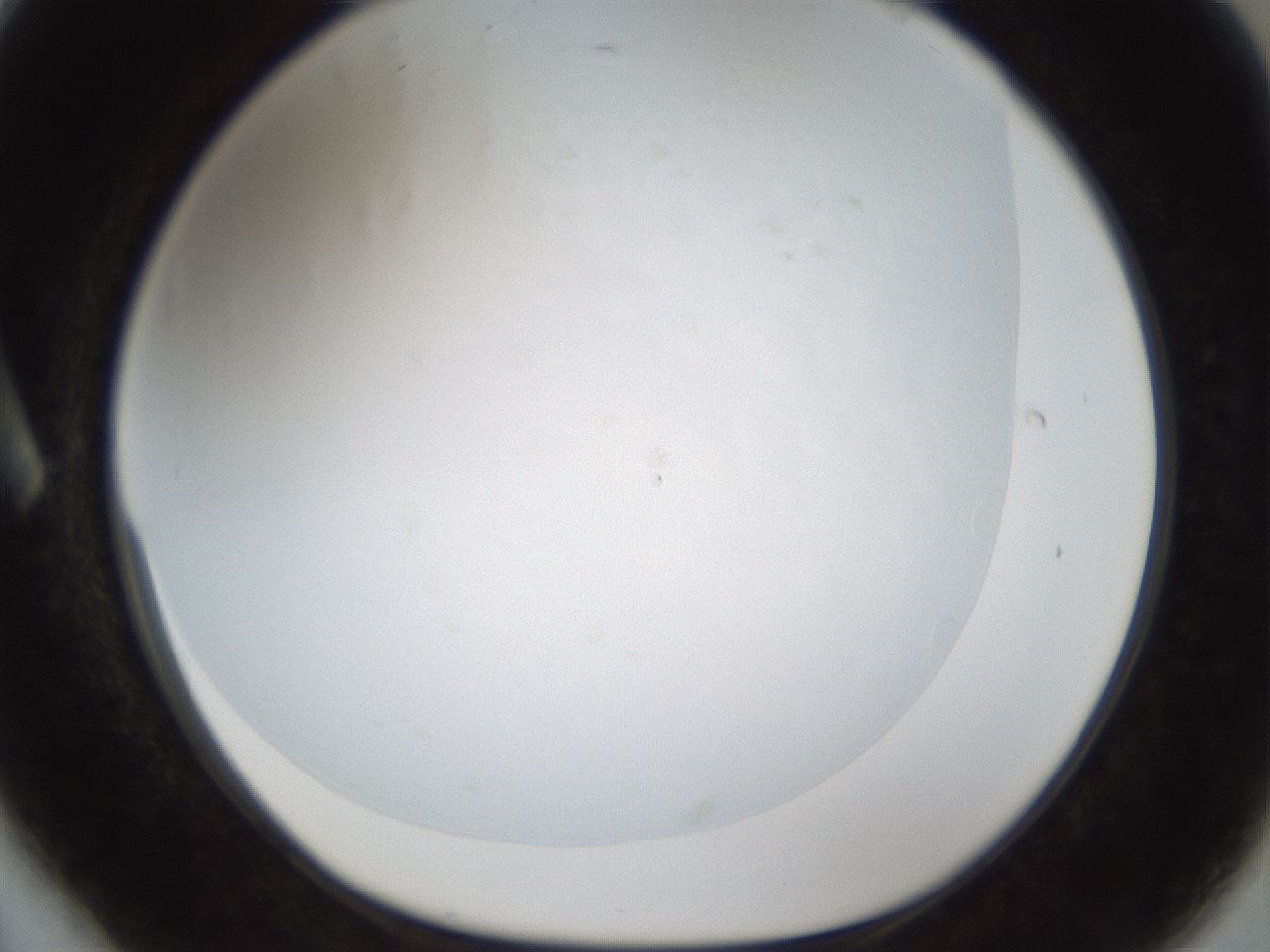 folderID212_plateID1212_batchID3657_wellNum6_profileID1_d1_r68394_ef.jpg