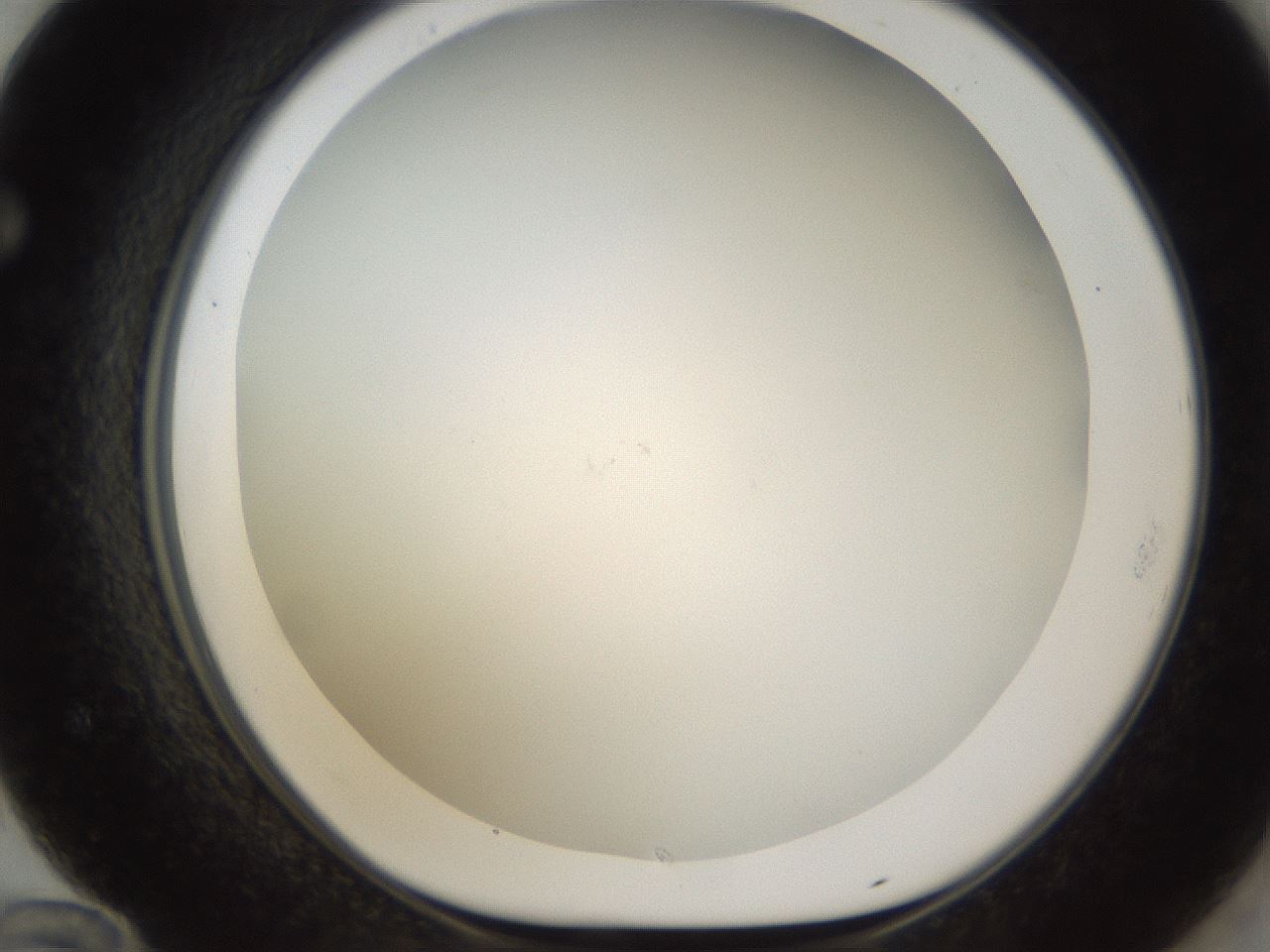 folderID212_plateID1212_batchID3657_wellNum72_profileID1_d1_r68526_ef.jpg