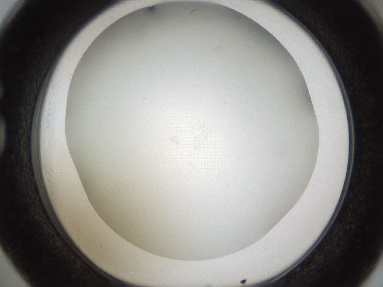 folderID212_plateID1212_batchID3657_wellNum73_profileID1_d1_r68528_ef.jpg