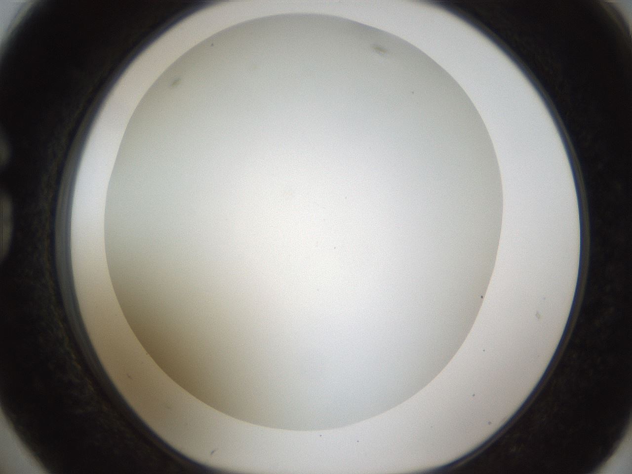 folderID212_plateID1212_batchID3657_wellNum74_profileID1_d1_r68530_ef.jpg