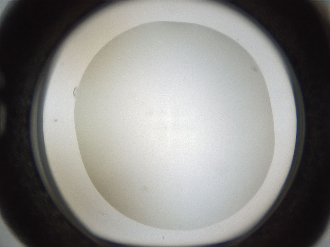 folderID212_plateID1212_batchID3657_wellNum76_profileID1_d1_r68534_ef.jpg