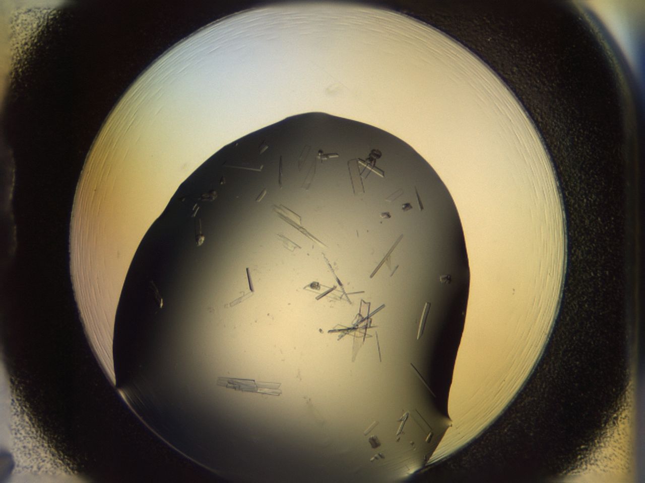 02g2_B7_ImagerDefaults_9.jpg