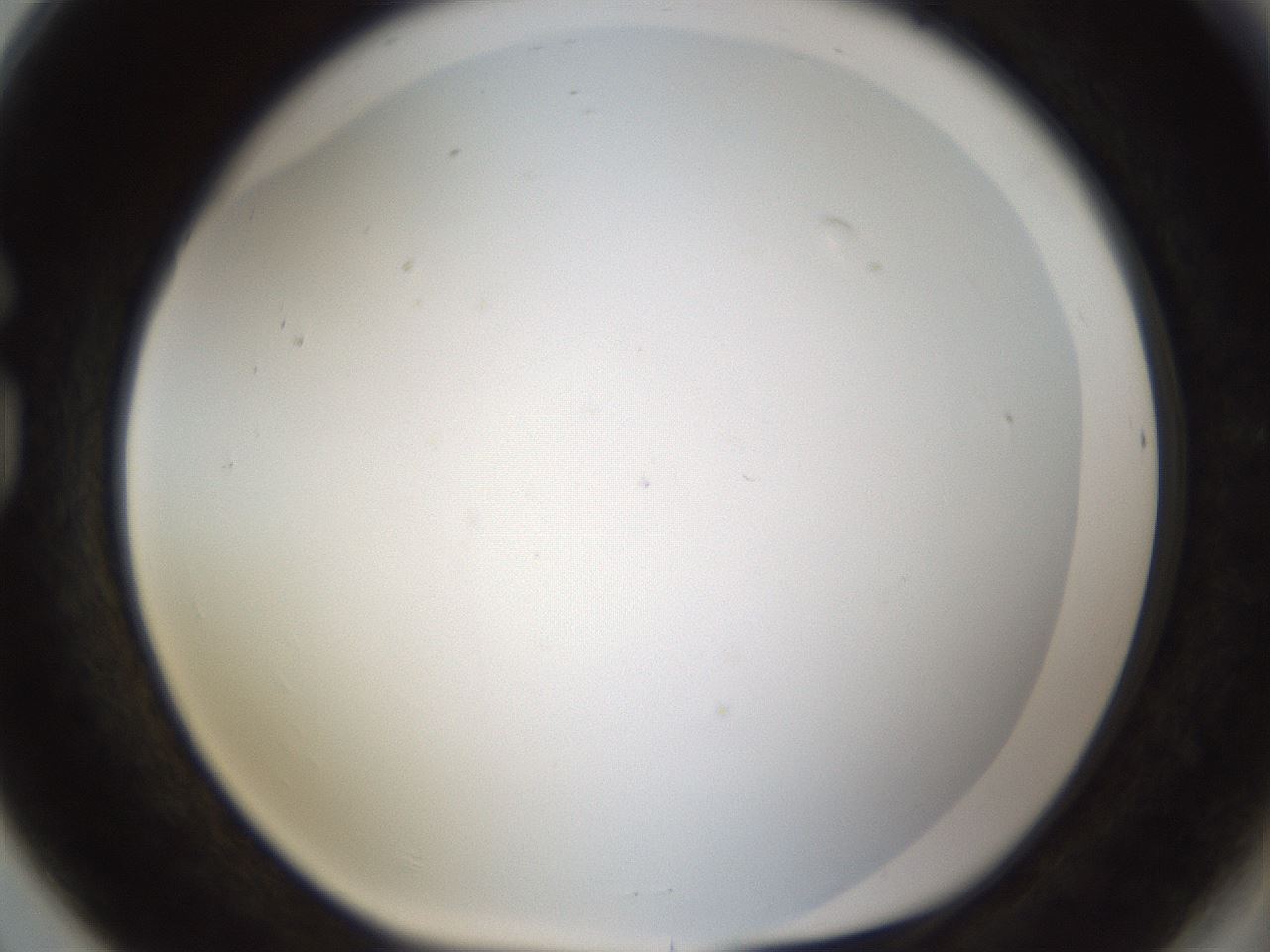 folderID212_plateID1212_batchID3657_wellNum80_profileID1_d1_r68542_ef.jpg