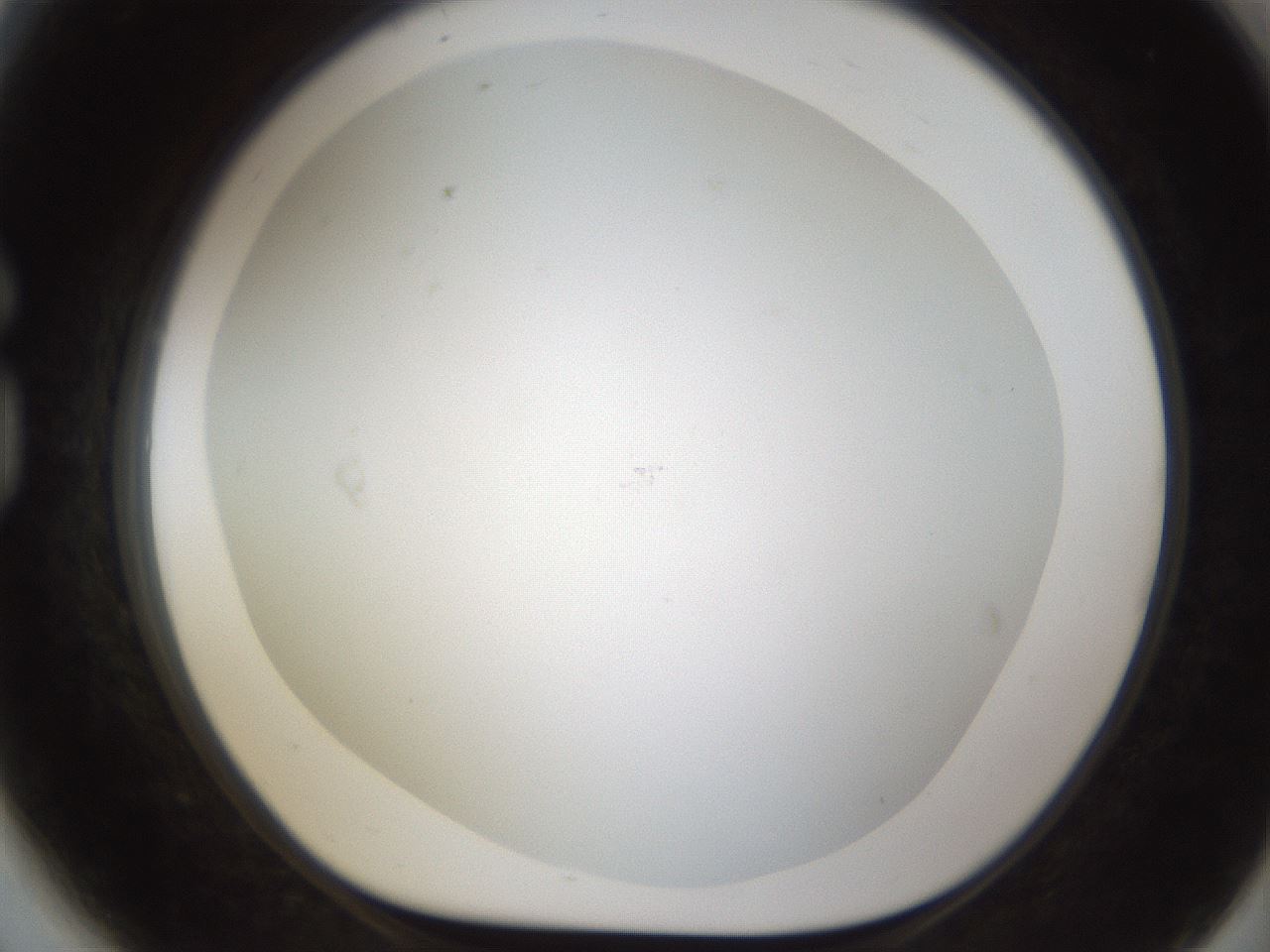 folderID212_plateID1212_batchID3657_wellNum81_profileID1_d1_r68544_ef.jpg
