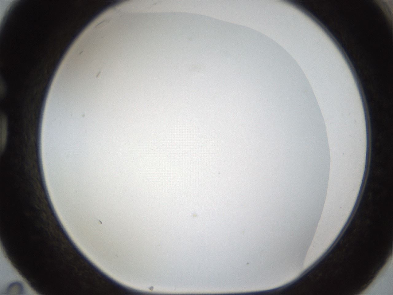 folderID212_plateID1212_batchID3657_wellNum83_profileID1_d1_r68548_ef.jpg