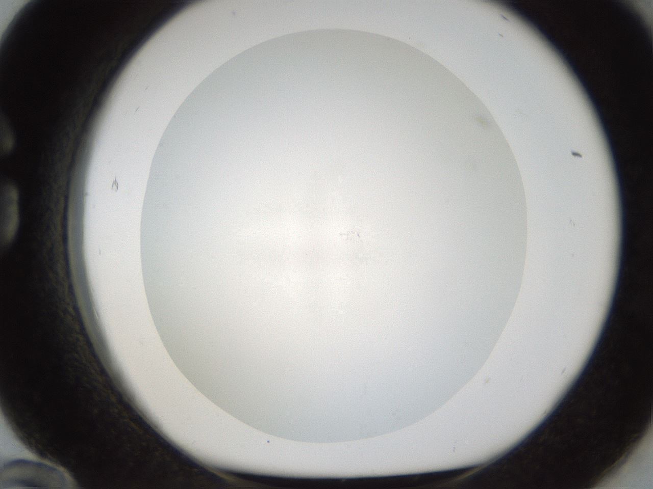 folderID212_plateID1212_batchID3657_wellNum84_profileID1_d1_r68550_ef.jpg