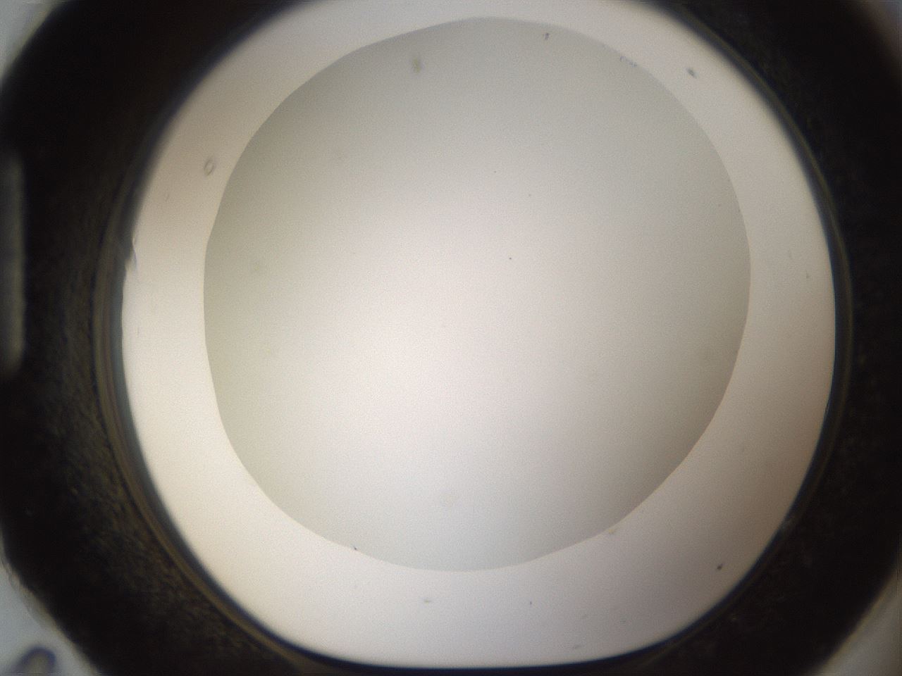 folderID212_plateID1212_batchID3657_wellNum95_profileID1_d1_r68572_ef.jpg