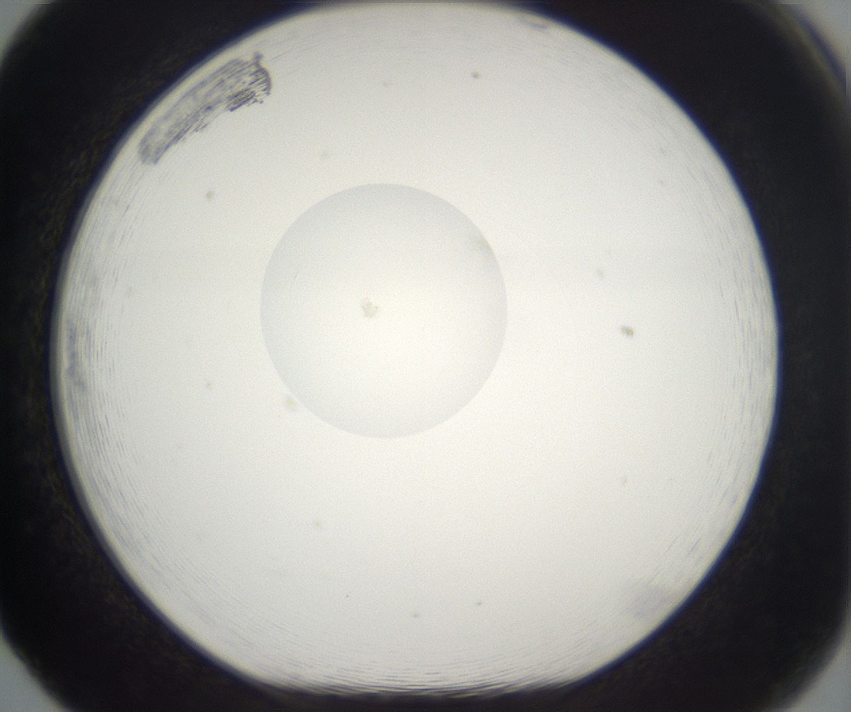 folderID212_plateID2212_batchID10054_wellNum65_profileID1_d1_r151607_ef.jpg