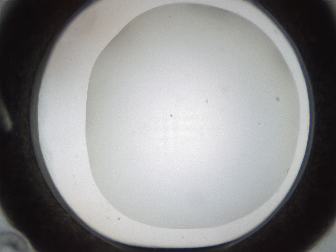 folderID213_plateID1213_batchID3626_wellNum10_profileID1_d1_r68978_ef.jpg