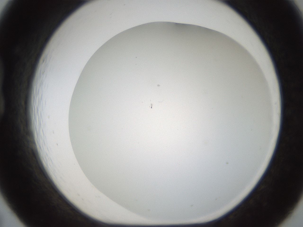 folderID213_plateID1213_batchID3626_wellNum19_profileID1_d1_r68996_ef.jpg