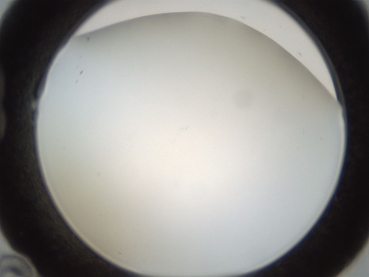 folderID213_plateID1213_batchID3626_wellNum22_profileID1_d1_r69002_ef.jpg
