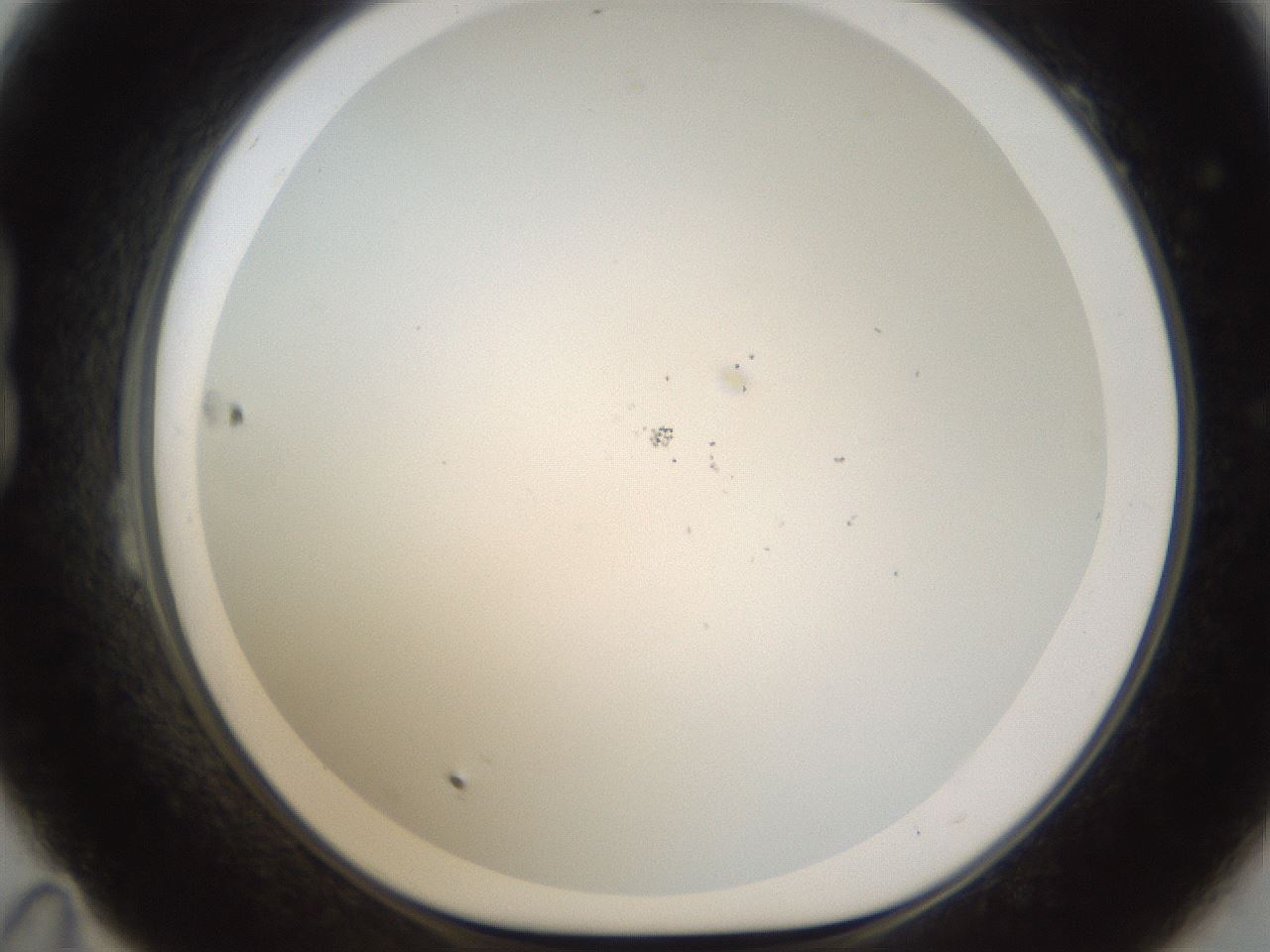 folderID213_plateID1213_batchID3626_wellNum23_profileID1_d1_r69004_ef.jpg