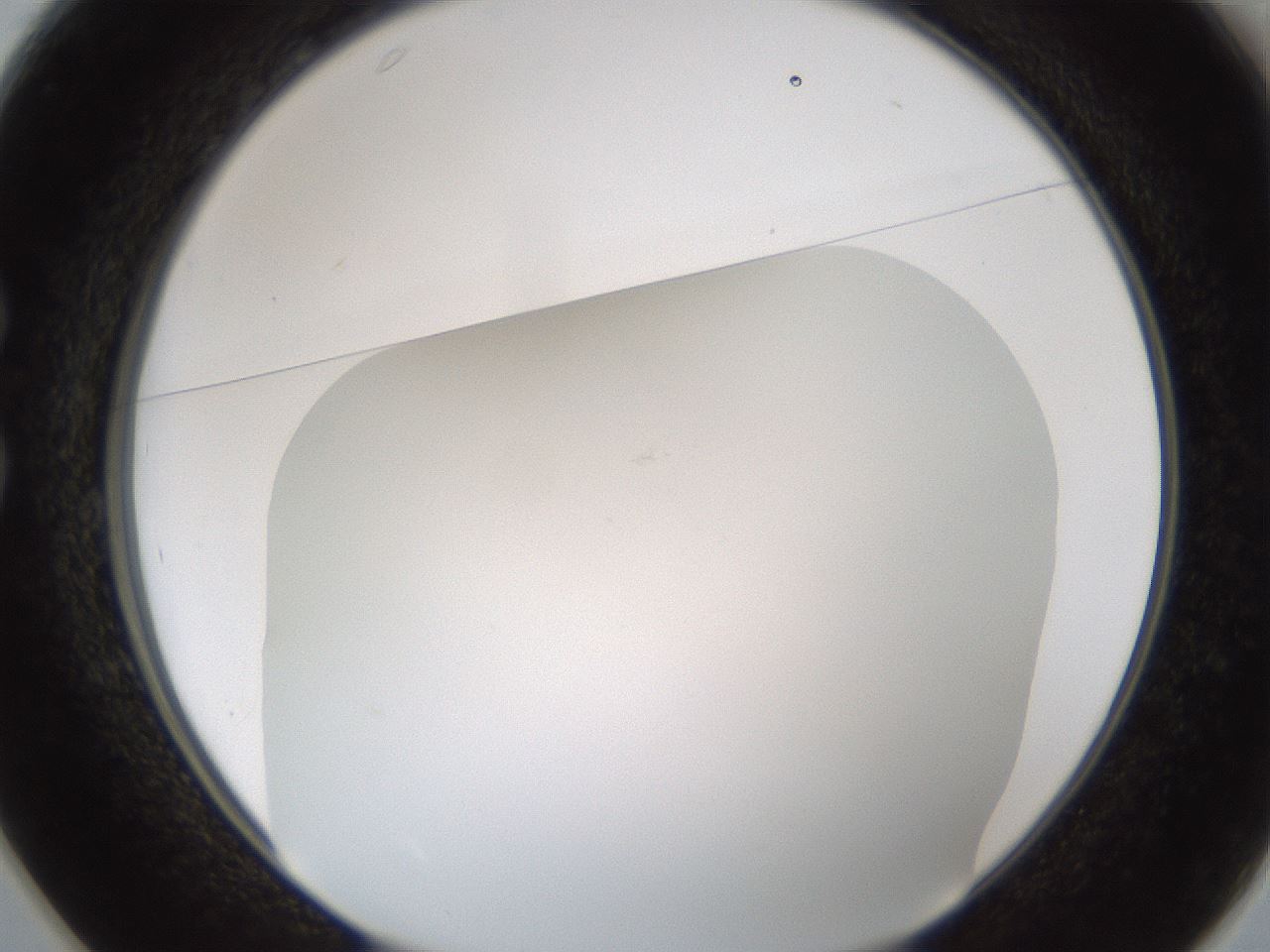 folderID213_plateID1213_batchID3626_wellNum25_profileID1_d1_r69008_ef.jpg