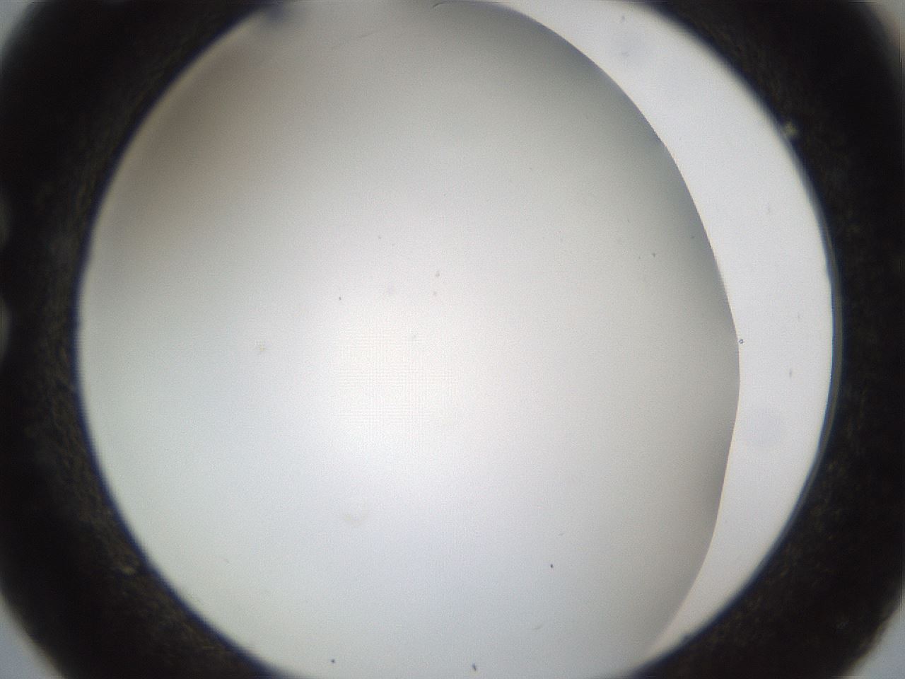 folderID213_plateID1213_batchID3626_wellNum26_profileID1_d1_r69010_ef.jpg