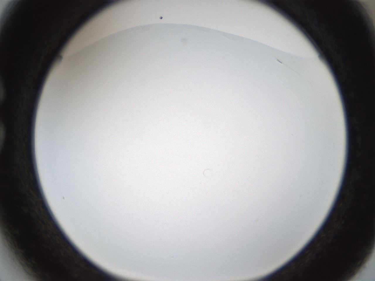 folderID213_plateID1213_batchID3626_wellNum27_profileID1_d1_r69012_ef.jpg