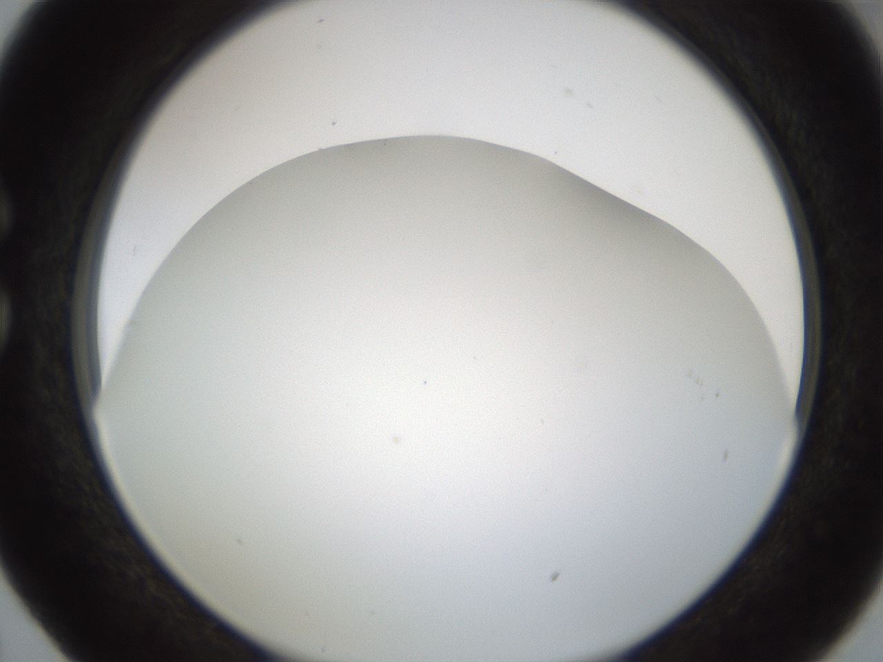 folderID213_plateID1213_batchID3626_wellNum29_profileID1_d1_r69016_ef.jpg