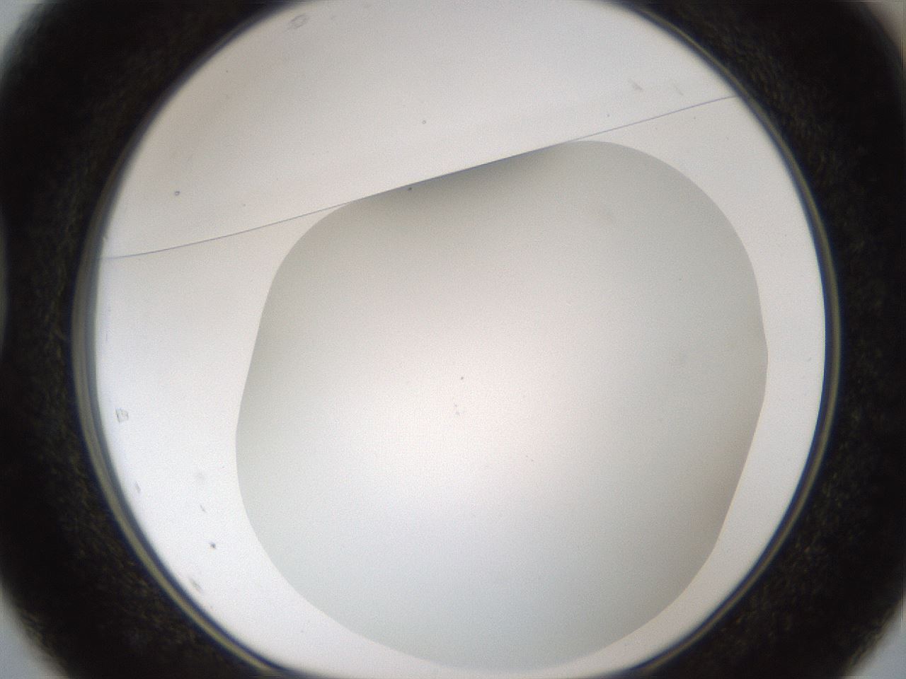 folderID213_plateID1213_batchID3626_wellNum37_profileID1_d1_r69032_ef.jpg