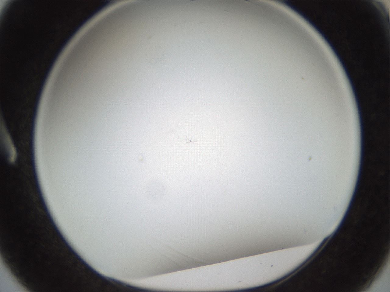 folderID213_plateID1213_batchID3626_wellNum3_profileID1_d1_r68964_ef.jpg