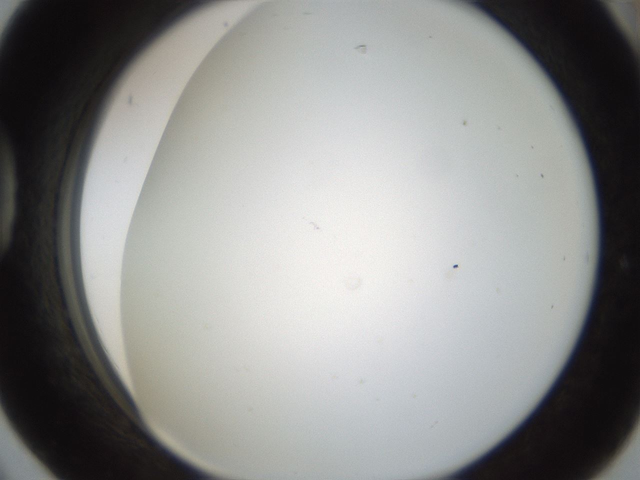 folderID213_plateID1213_batchID3626_wellNum42_profileID1_d1_r69042_ef.jpg