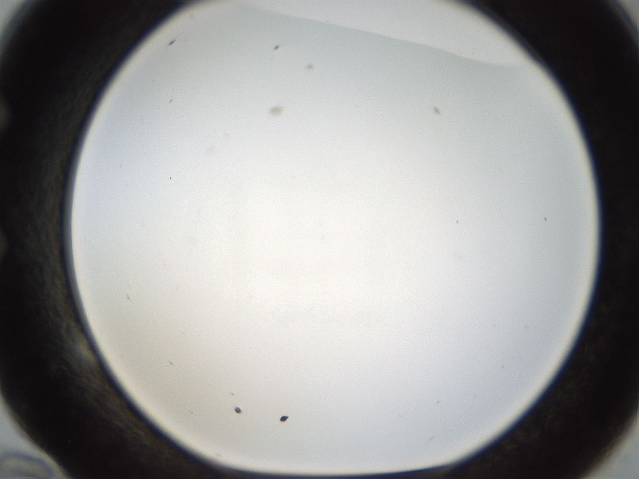 folderID213_plateID1213_batchID3626_wellNum58_profileID1_d1_r69074_ef.jpg