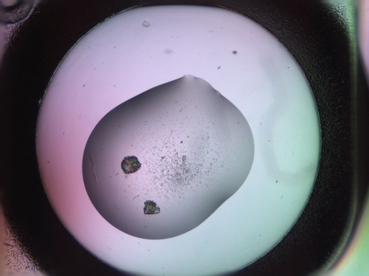 02g2_C10_ImagerDefaults_8.jpg