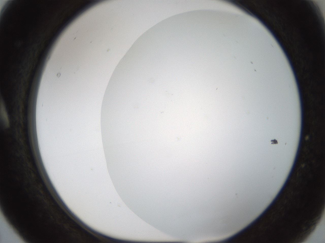 folderID213_plateID1213_batchID3626_wellNum5_profileID1_d1_r68968_ef.jpg