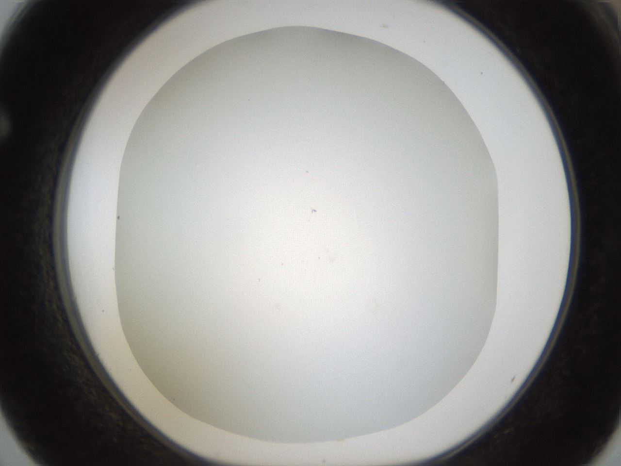 folderID213_plateID1213_batchID3626_wellNum62_profileID1_d1_r69082_ef.jpg