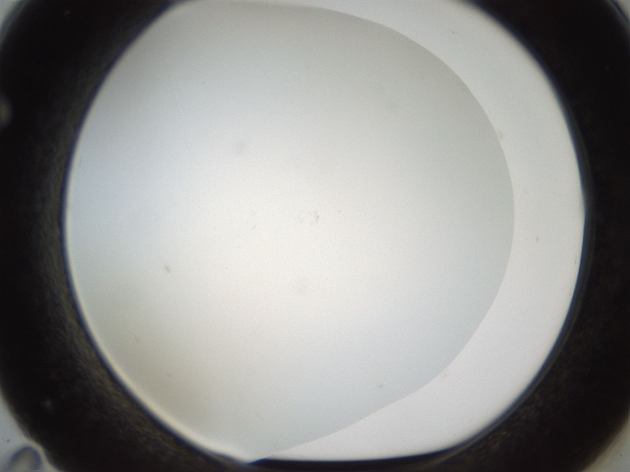 folderID213_plateID1213_batchID3626_wellNum71_profileID1_d1_r69100_ef.jpg
