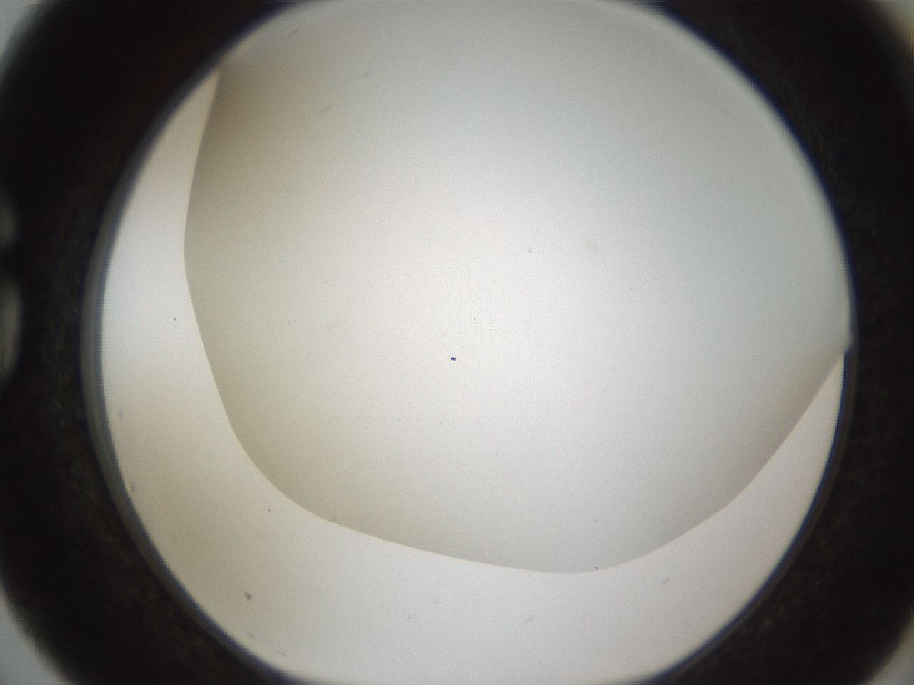 folderID213_plateID1213_batchID3626_wellNum75_profileID1_d1_r69108_ef.jpg