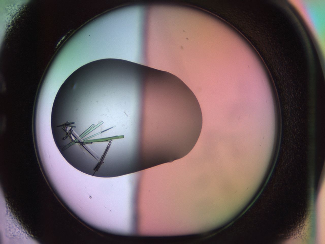 02g2_C4_ImagerDefaults_9.jpg