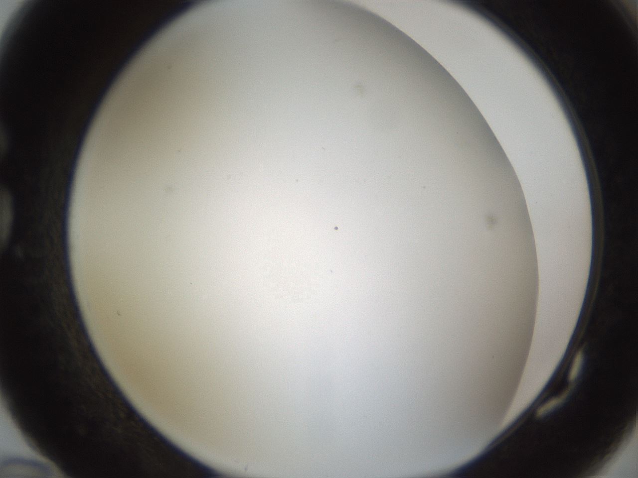 folderID213_plateID1213_batchID3626_wellNum82_profileID1_d1_r69122_ef.jpg