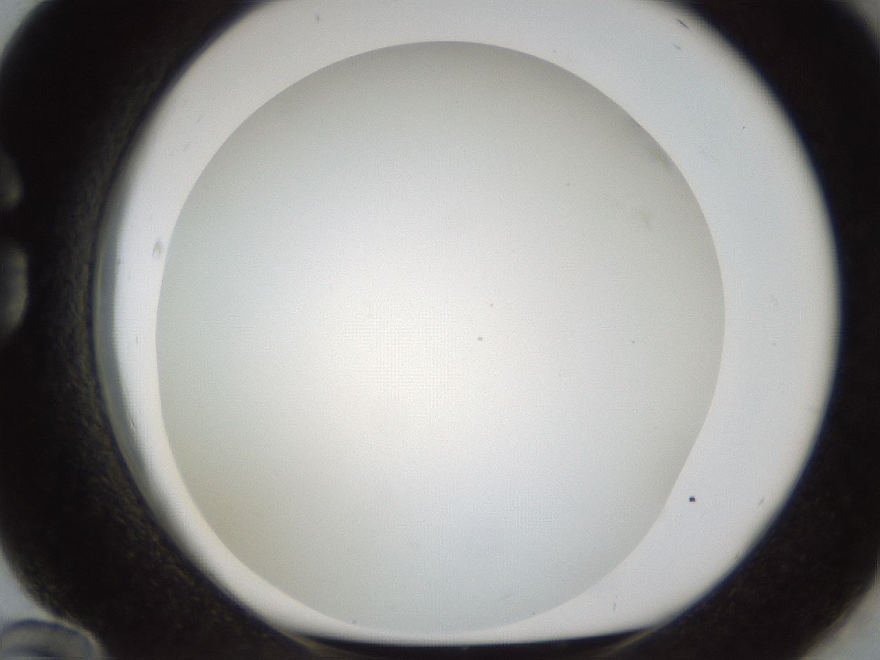 folderID213_plateID1213_batchID3626_wellNum84_profileID1_d1_r69126_ef.jpg