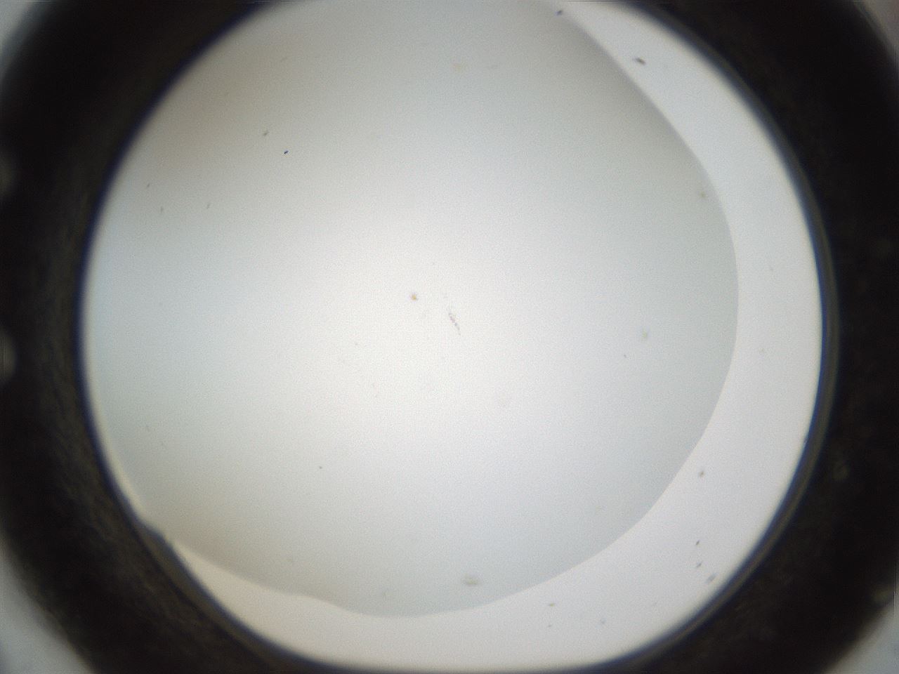 folderID213_plateID1213_batchID3626_wellNum54_profileID1_d1_r69066_ef.jpg