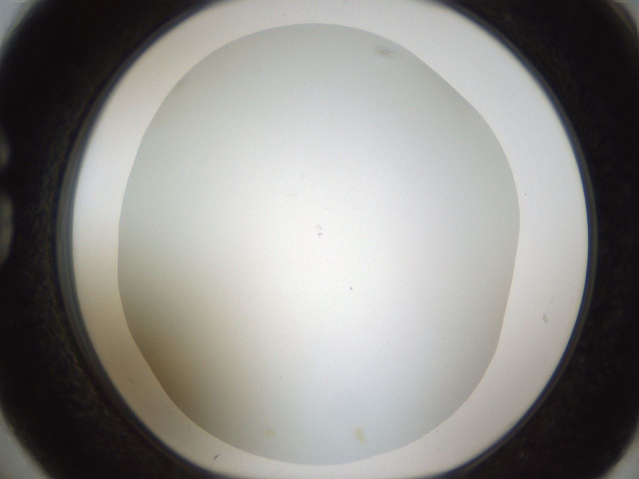folderID213_plateID1213_batchID3626_wellNum74_profileID1_d1_r69106_ef.jpg