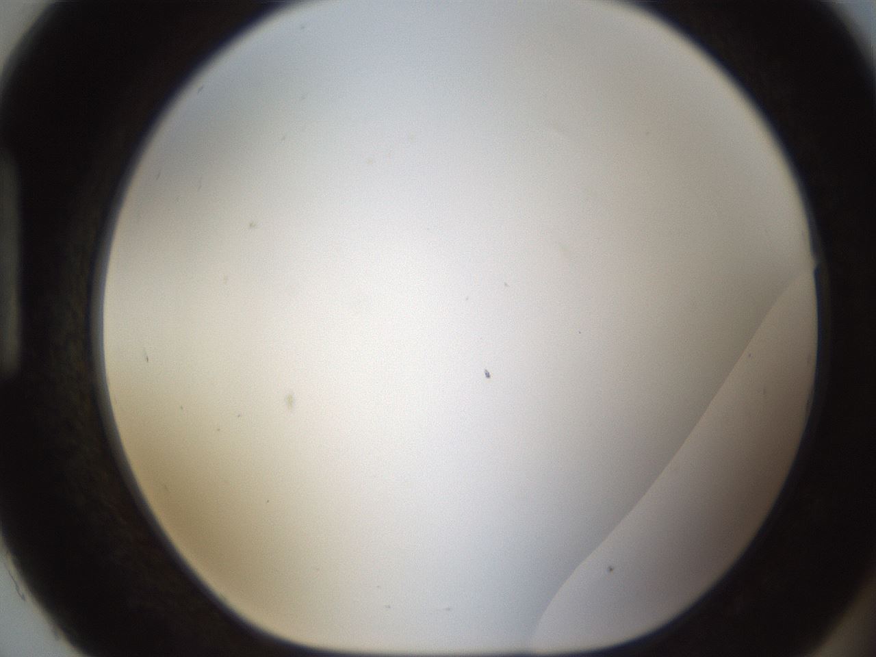 folderID213_plateID1213_batchID3626_wellNum93_profileID1_d1_r69144_ef.jpg