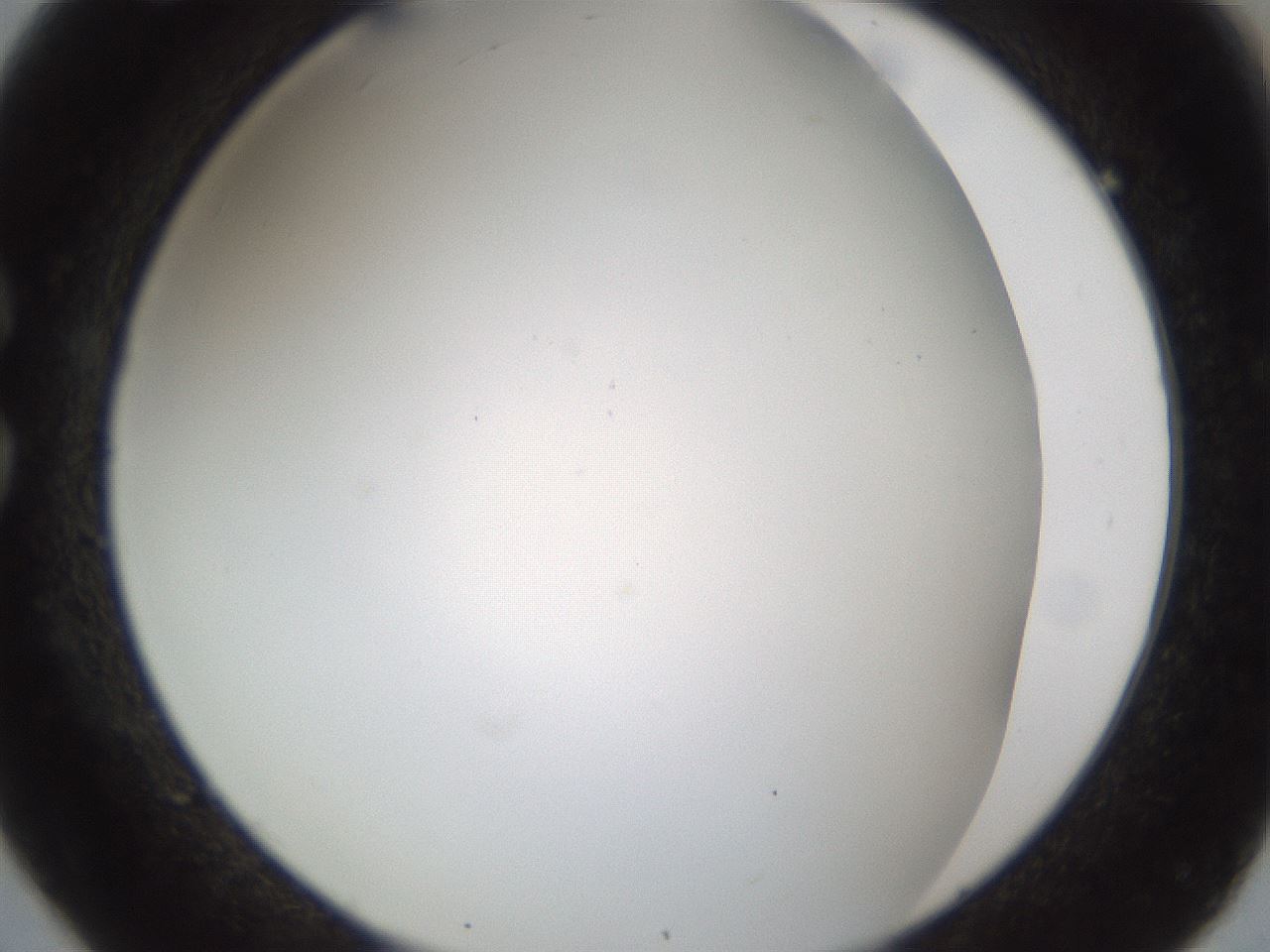 folderID213_plateID1213_batchID3692_wellNum26_profileID1_d1_r69010_ef.jpg