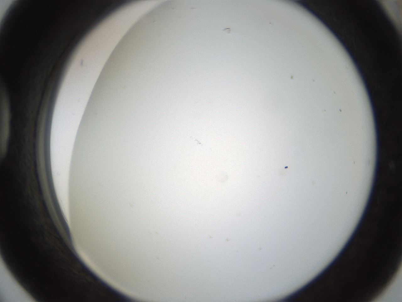 folderID213_plateID1213_batchID3692_wellNum42_profileID1_d1_r69042_ef.jpg