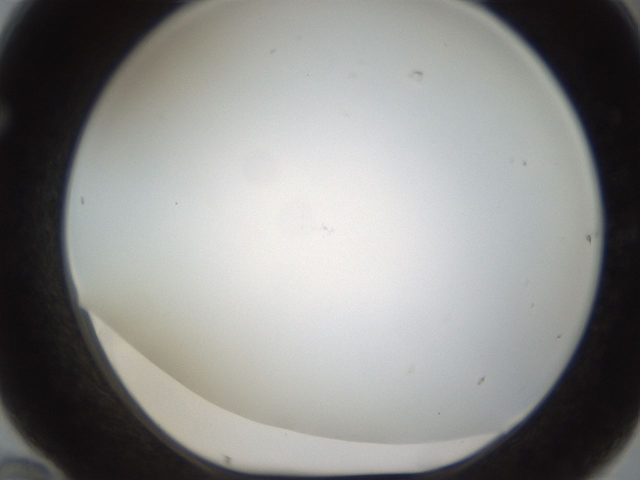 folderID213_plateID1213_batchID3692_wellNum70_profileID1_d1_r69098_ef.jpg