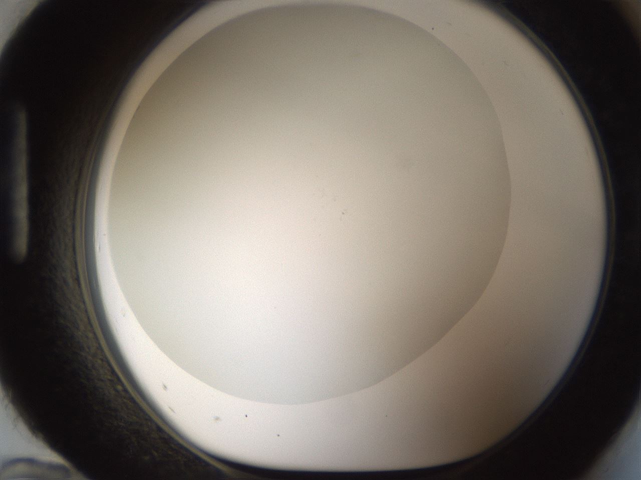 folderID213_plateID1213_batchID3626_wellNum96_profileID1_d1_r69150_ef.jpg