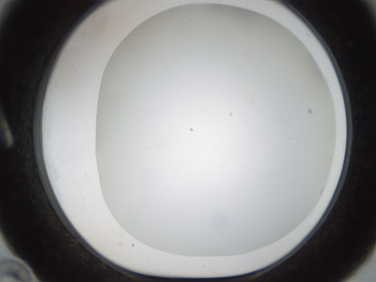folderID213_plateID1213_batchID3692_wellNum10_profileID1_d1_r68978_ef.jpg