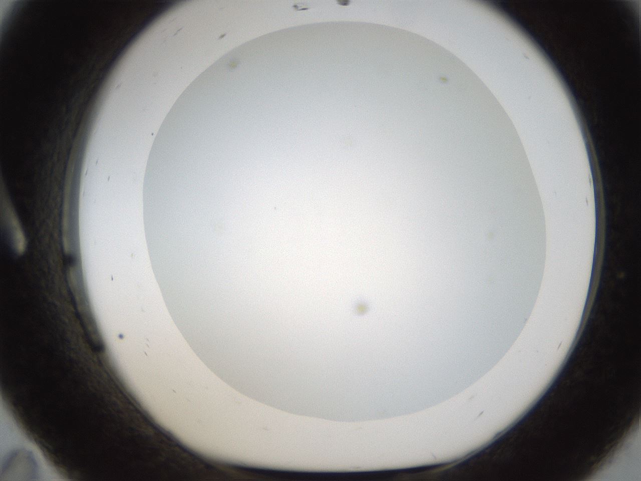 folderID213_plateID1213_batchID3692_wellNum11_profileID1_d1_r68980_ef.jpg