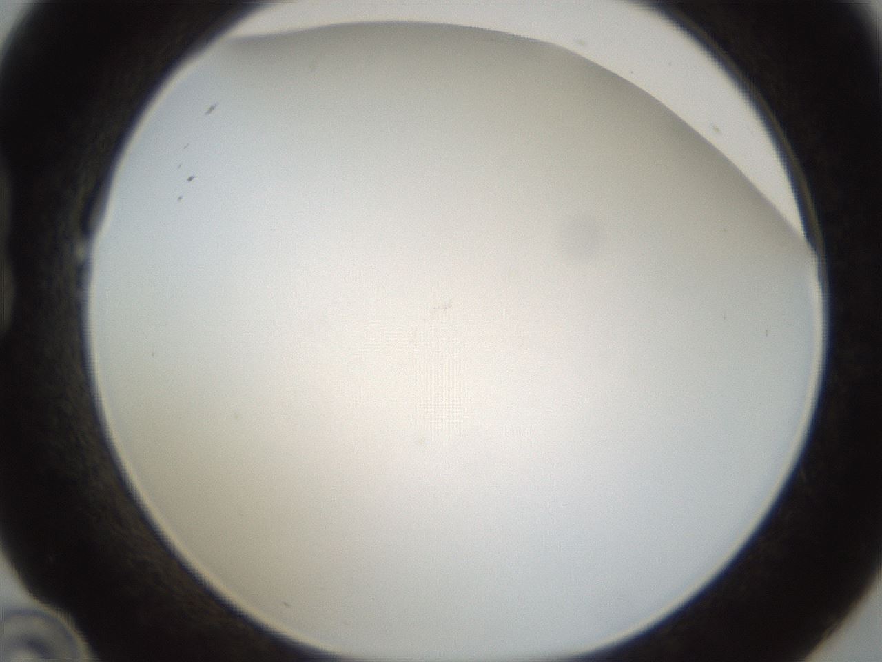 folderID213_plateID1213_batchID3692_wellNum22_profileID1_d1_r69002_ef.jpg