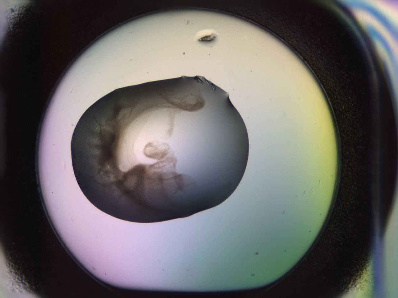 02g2_H9_ImagerDefaults_8.jpg