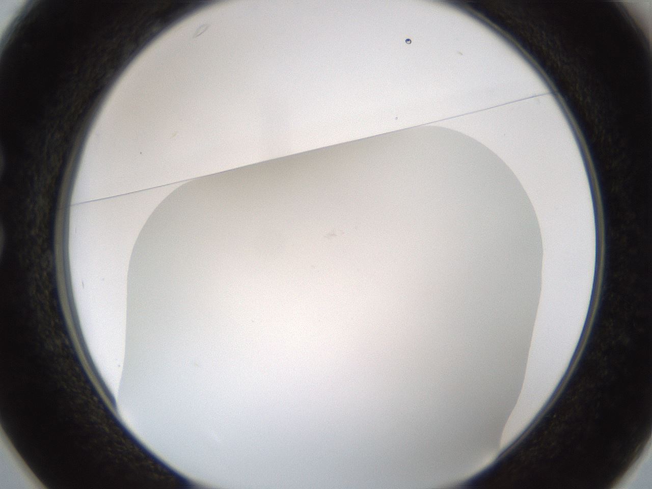 folderID213_plateID1213_batchID3692_wellNum25_profileID1_d1_r69008_ef.jpg