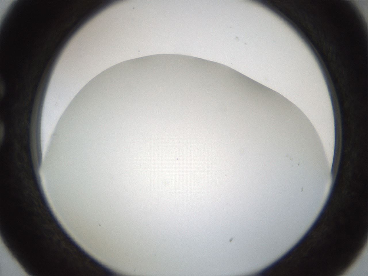 folderID213_plateID1213_batchID3692_wellNum29_profileID1_d1_r69016_ef.jpg