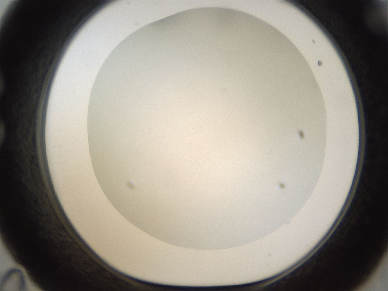 folderID213_plateID1213_batchID3692_wellNum35_profileID1_d1_r69028_ef.jpg