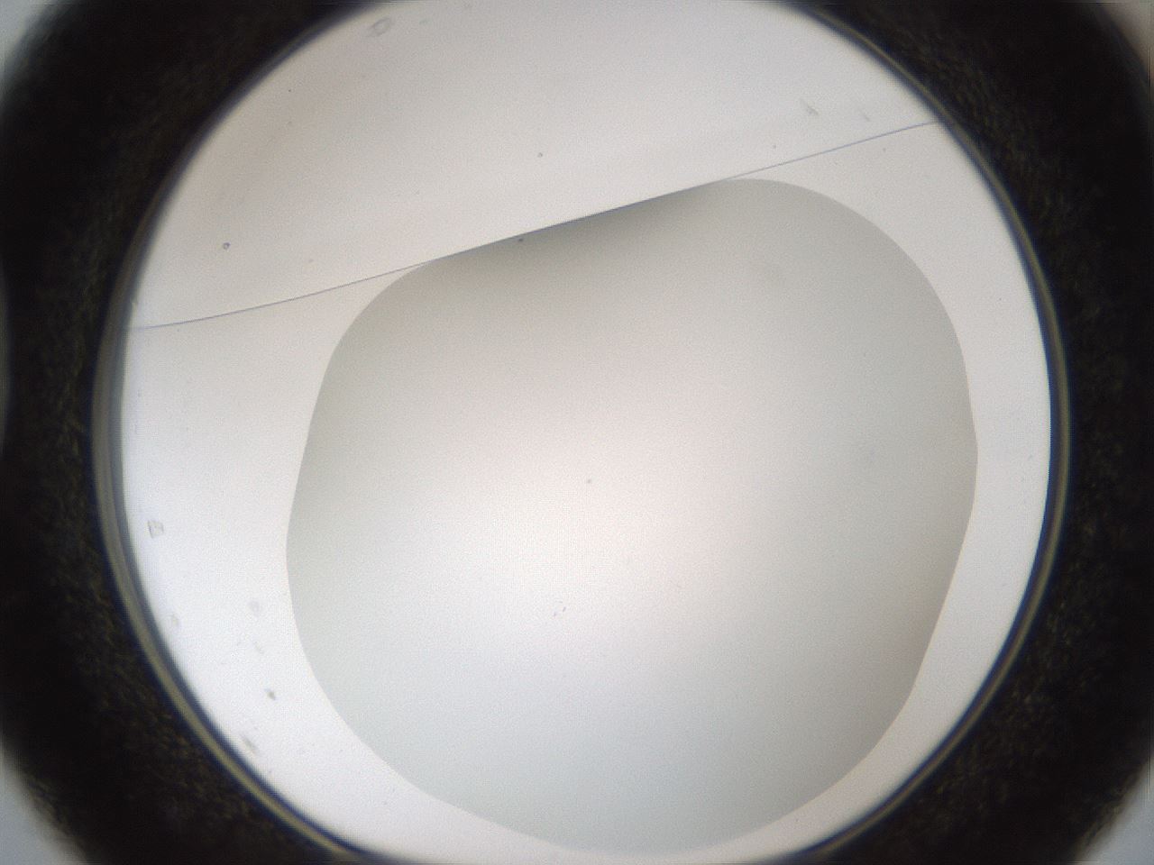 folderID213_plateID1213_batchID3692_wellNum37_profileID1_d1_r69032_ef.jpg